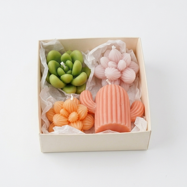 Succulent Surprise Gift Set