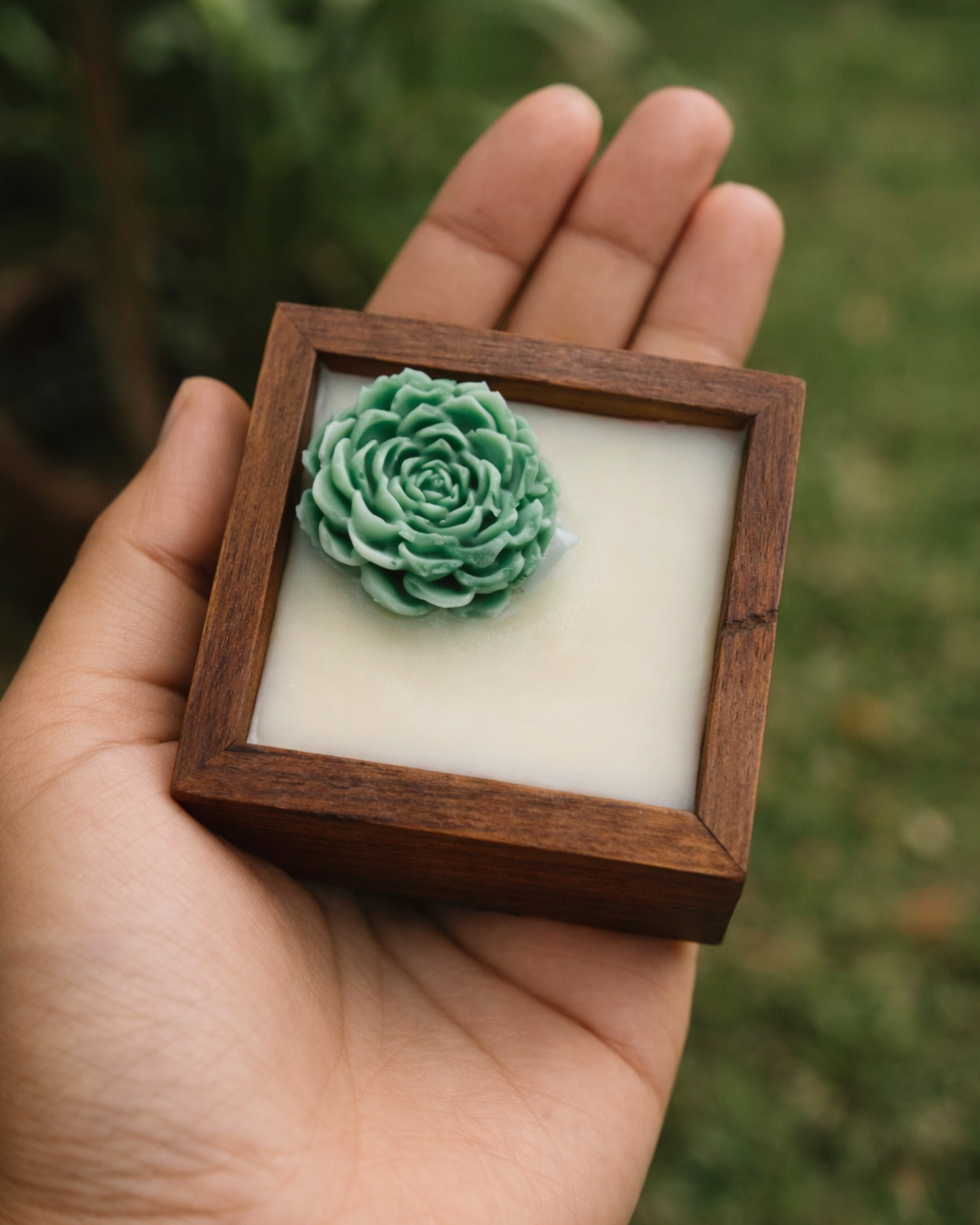 Boxed Beauty