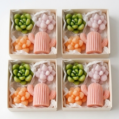 Succulent Surprise Gift Set