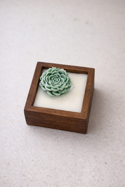 Boxed Beauty