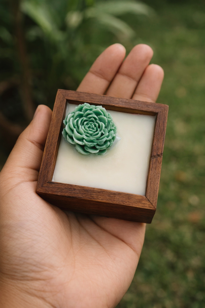 Boxed Beauty