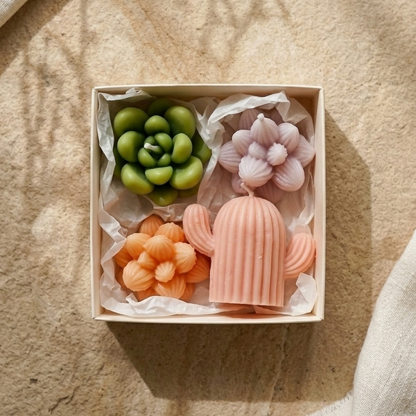 Succulent Surprise Gift Set