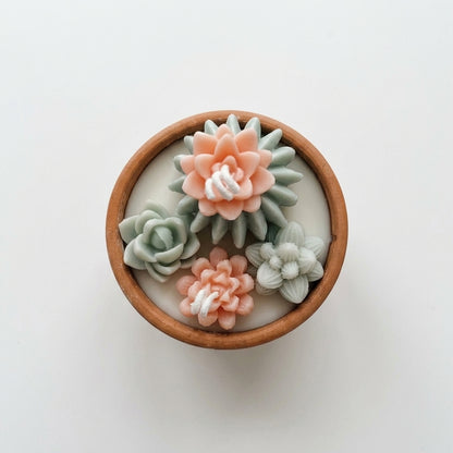 Succulent Floret Scented Candle